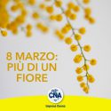 8 marzo. Più di un fiore 💐